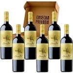 Análisis y comparativa: maridaje perfecto con las mejores conservas y comida en lata de vino Jumilla Juan Gil