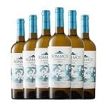 Análisis de los precios de vinos del Somontano: ¿cuál maridar con conservas y comida en lata?
