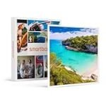 Análisis de conservas y comida en lata para una experiencia gastronómica rural inigualable