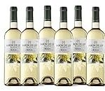 Análisis de la variedad de conservas de uva blanca de Galicia: ¡Descubre las mejores opciones en lata!