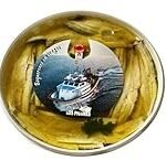Análisis y Comparativa: ¿Dónde Comprar los Mejores Boquerones en Vinagre en Conserva?