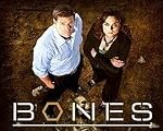 Análisis del T-Bone: ¿Cómo se compara con las conservas y comida en lata?