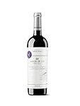 Análisis de conservas y maridaje: Descubre las mejores opciones con vino Graciano