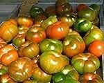 Análisis de las mejores conservas de pomodori raf: ¡Descubre las opciones en lata más deliciosas y versátiles!