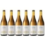 Análisis de conservas y maridaje perfecto: Vinos blancos de Cantabria