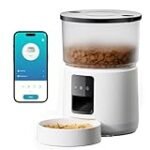 ¿Es posible cumplir con la recomendación de comer 5 veces al día con conservas y comida en lata? Análisis y comparativa de las opciones más saludables