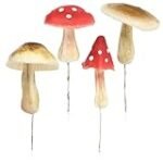 Análisis de las conservas de setas amanita caesarea: ¡Descubre las mejores opciones en lata!