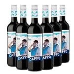 Análisis y maridaje: los mejores vinos Shiraz para acompañar tus conservas y comida en lata