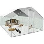 Análisis: Pollos de corral a la venta y su comparativa con conservas y comida en lata de calidad