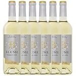 Análisis y comparativa: vino viura, el maridaje perfecto con conservas de calidad Análisis y comparativa: vino viura, el maridaje perfecto con conservas de calidad