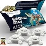 Tortutas en lata: Una deliciosa y práctica receta para disfrutar en cualquier momento