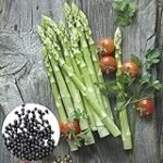 Descubre las mejores conservas de espárragos: Análisis y comparativa de los productos en lata más sabrosos