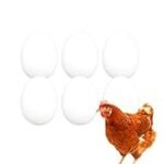 Análisis de conservas de seta huevo de rey: calidad, sabor y precio comparados