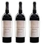 Análisis del Pago de los Capellanes Tinto Crianza 2021 y las mejores conservas en lata: ¡Descubre la combinación perfecta!