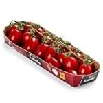 Análisis de conservas de tomate cherry: comparativa de precios y calidad en latas de alta gama