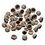 Comparativa de postres con bellotas en conserva: Delicias en lata para endulzar tu día
