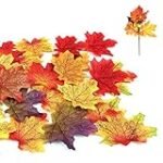 Análisis y comparativa de las mejores conservas para tu menú de otoño